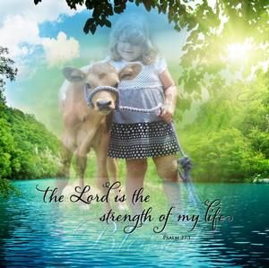 Meet your Posher, Darla